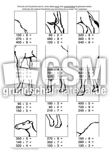 Dromedar2.pdf